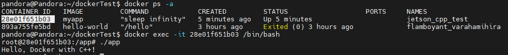 6-5 Docker Interaction