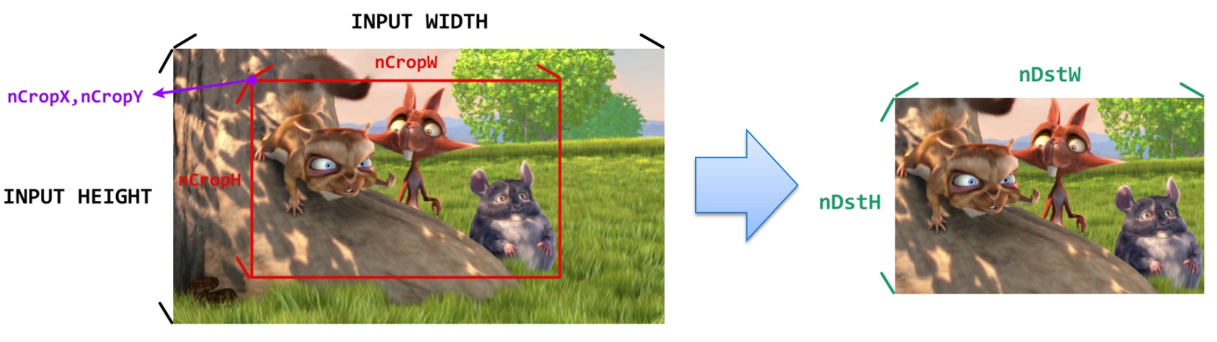 9-5 Callback and Image Snapshot Example