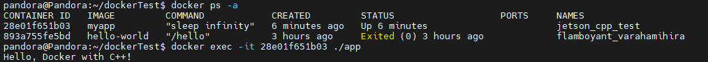6-5 Docker Interaction