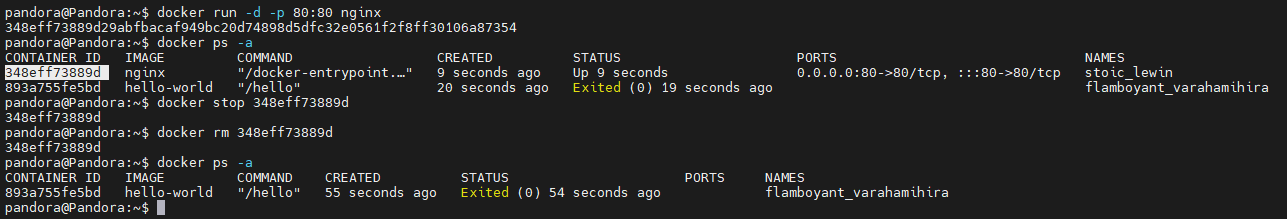 6-3 Docker Commands