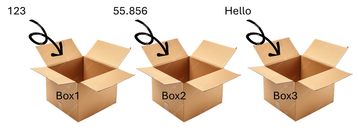 Diagram showing data being placed into a box labeled as a variable