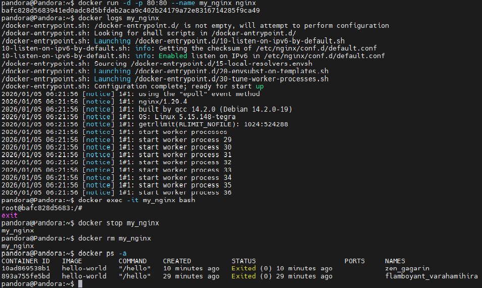 6-3 Docker Commands