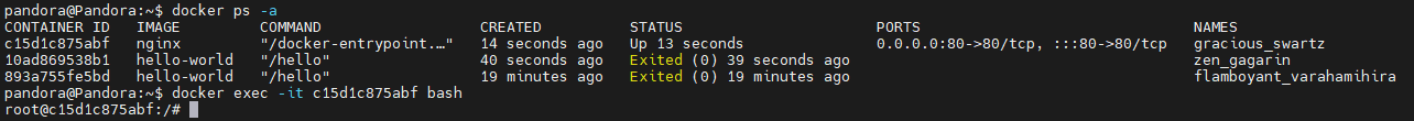 6-3 Docker Commands