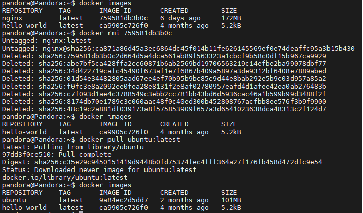 6-3 Docker Commands