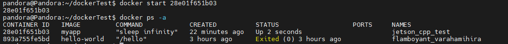 6-5 Docker Interaction