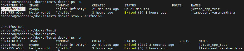 6-5 Docker Interaction